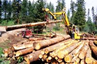 Заготовка кругляка для производства оцилиндрованного бревна Сталдомик.ру. Производство деревянных домов из клееного бруса
