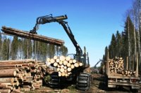 Погрузка древесины для отправки на производство Сталдомик.ру. Производство деревянных домов из оцилиндрованного бревна
